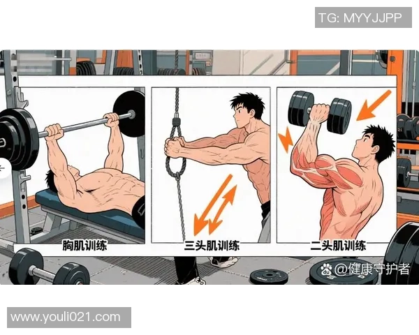 龙门架多功能组合胸肌训练方法详解