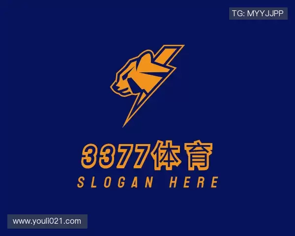 关于3377体育平台